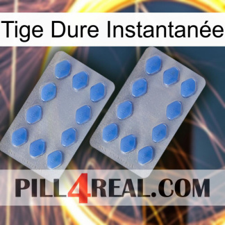 Tige Dure Instantanée 20